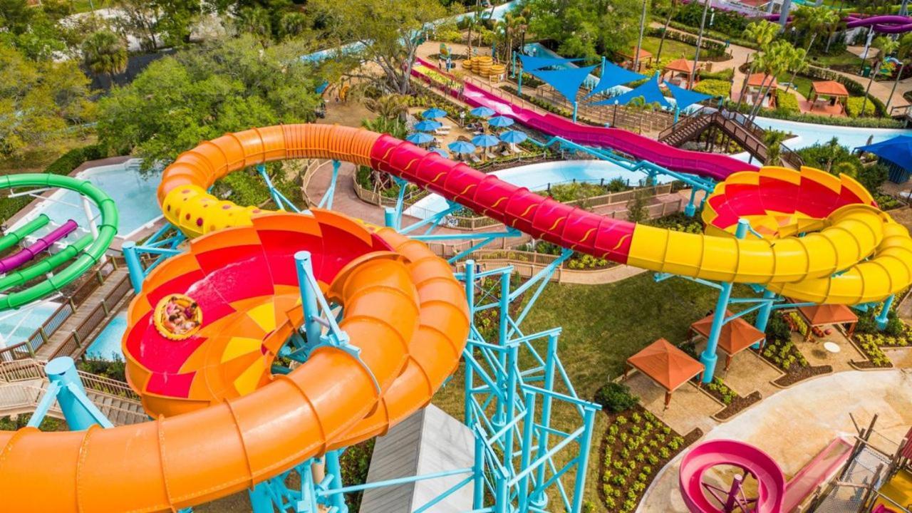 Вілла House Near Tampa Zoo And Busch Gardens, Free High Speed Wifi Екстер'єр фото